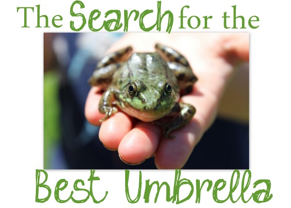 The Search For The Best Umbrella {a little frog story}