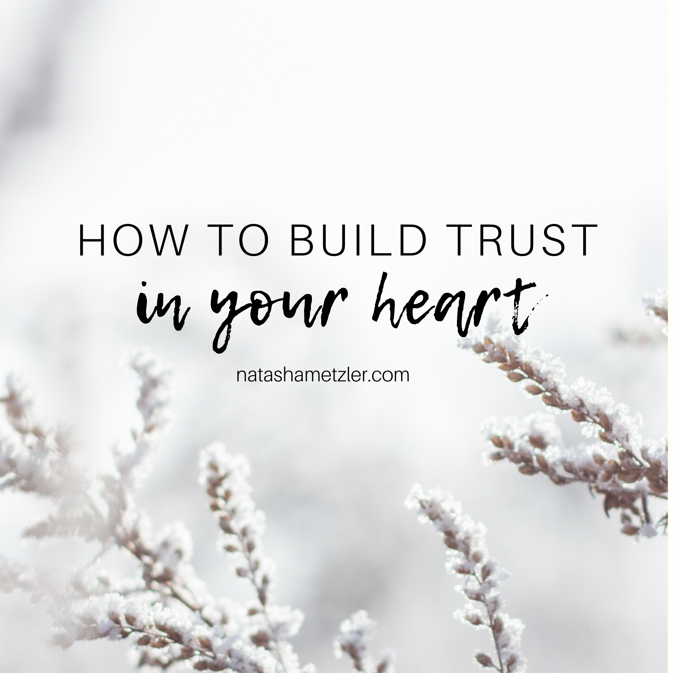 How to Build Trust In Your Heart