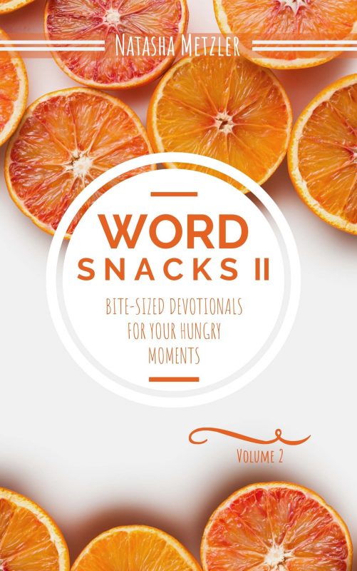 WordSnacks (Volume 2)