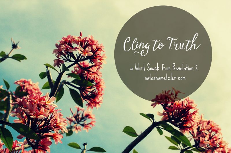 Cling to Truth #WordSnacks