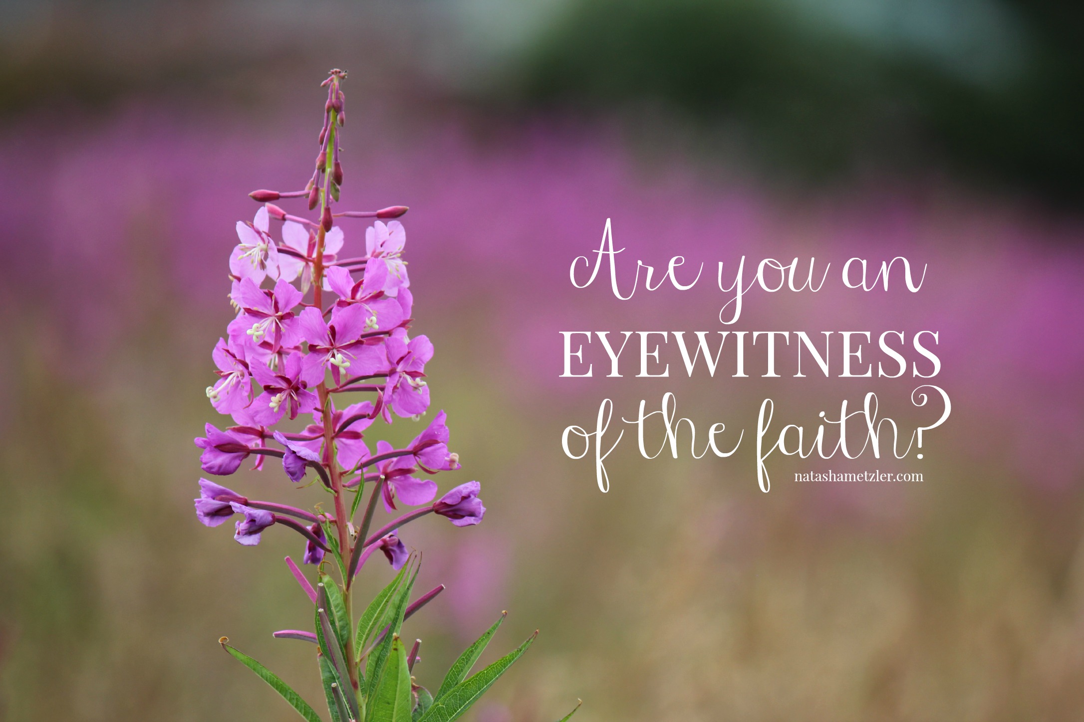 Are you an eyewitness of the faith
