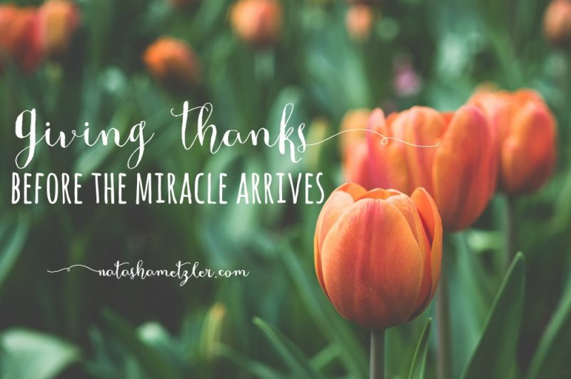 giving thanks before the miracle arrives