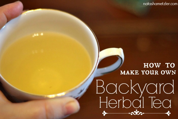 Backyard Herbal Tea {everything you need to know to make your own}