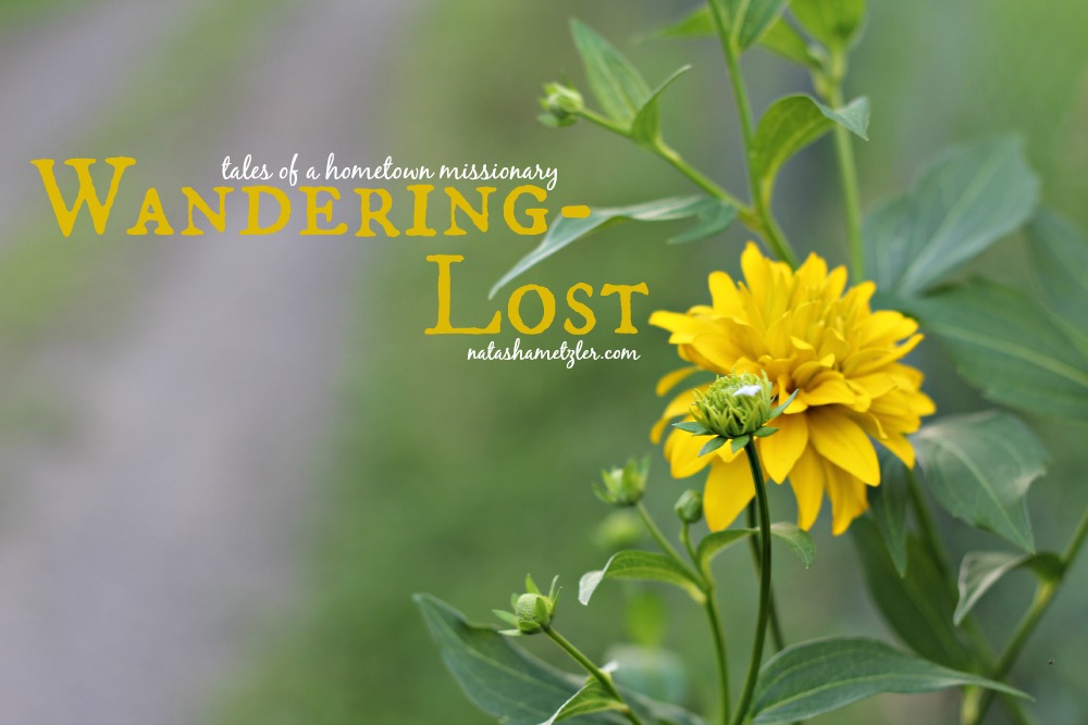 Wandering-Lost {tales of a hometown missionary}