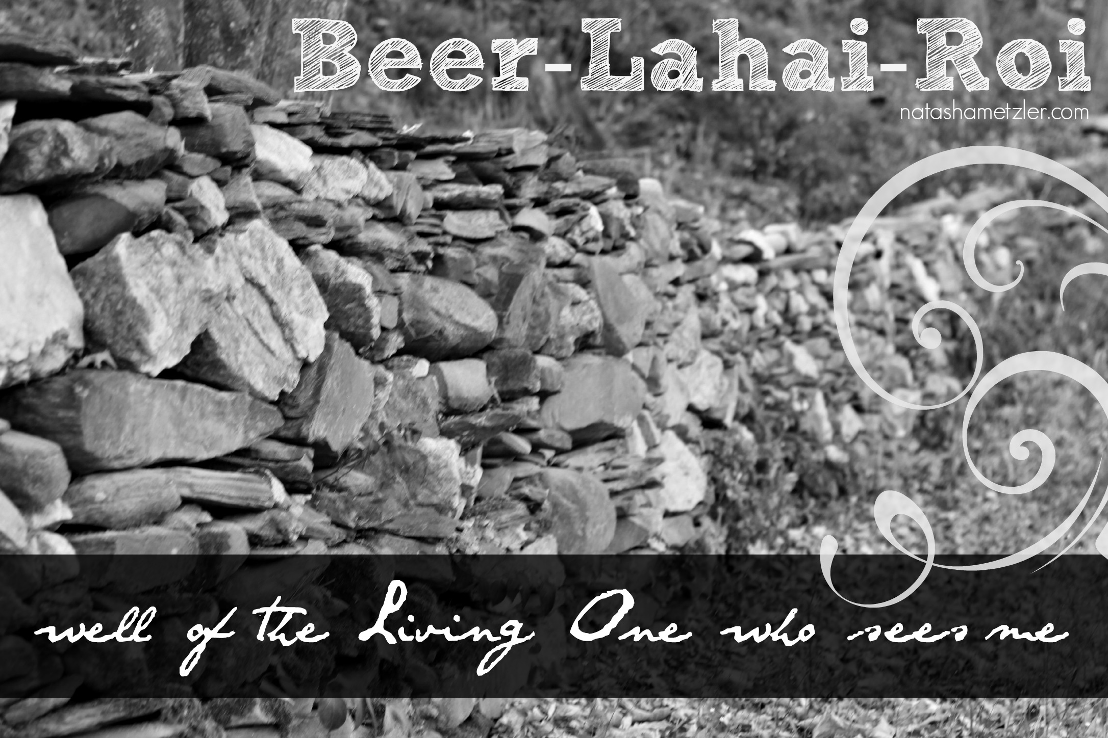 Beer-Lahai-Roi: well of the Living One who sees me - Natasha Metzler