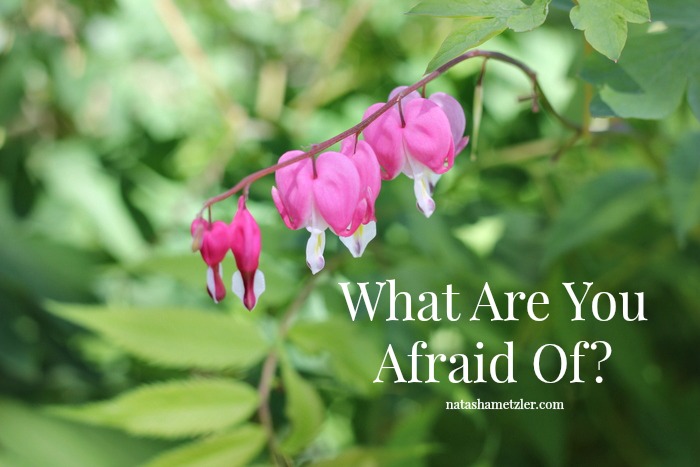 What are you afraid of?